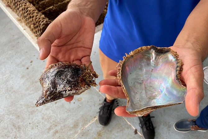 La Paz: Pearl Farm Experience and shop - Price and time: is $68 per person good value?