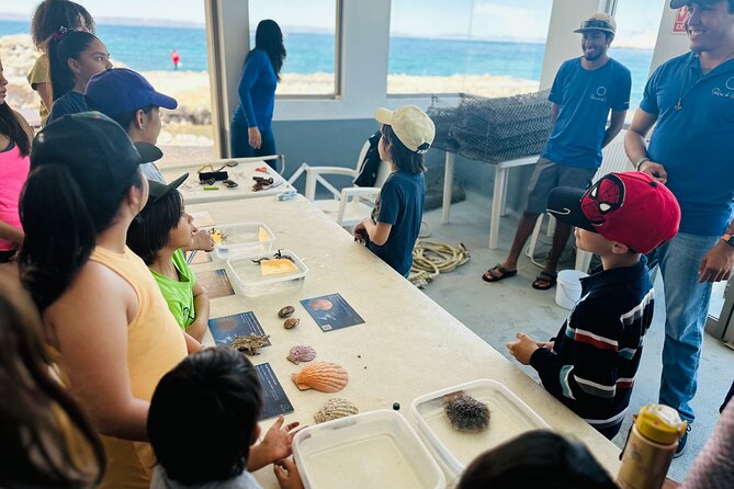 La Paz: Pearl Farm Experience and shop - Who this tour fits best (and who might skip it)