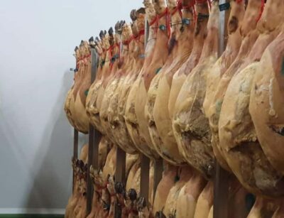 La Rioja: Jamon Iberico Farm Tour and Tasting with Wine - The piglet walk: seeing growth stages in the open air
