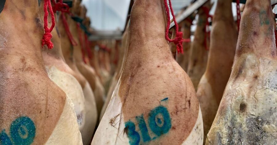 La Rioja: Jamon Iberico Farm Tour and Tasting with Wine - Olive groves, cereal fields, and the feed mill: the practical middle