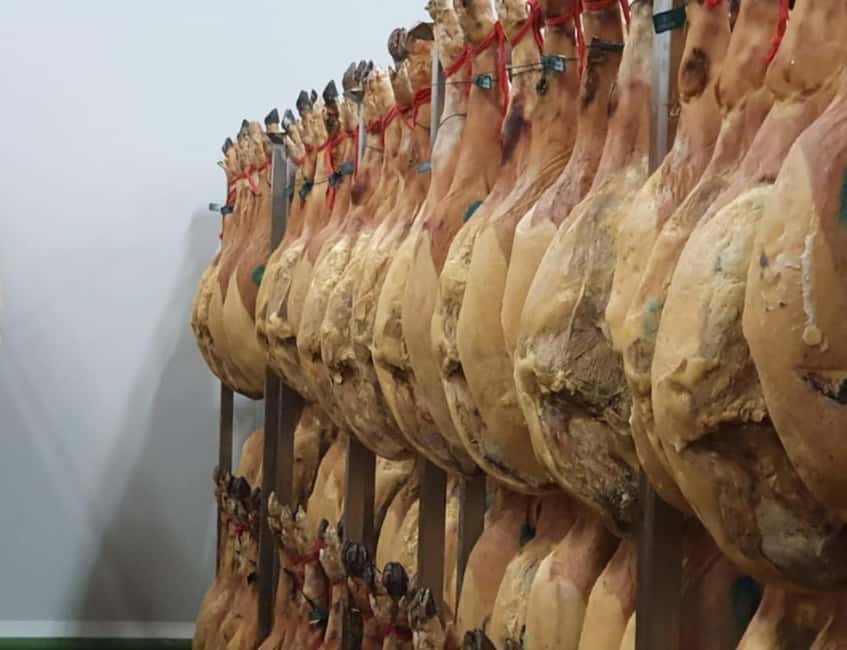 La Rioja: Jamon Iberico Farm Tour and Tasting with Wine - The piglet walk: seeing growth stages in the open air