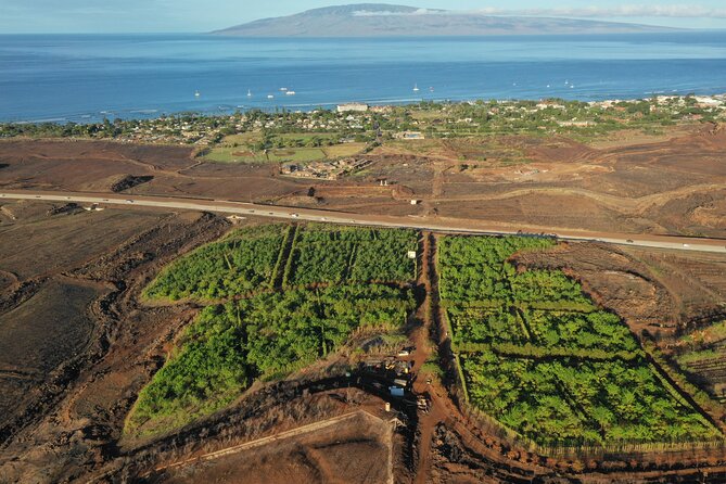 Lahaina: Maui Ku'ia Estate Guided Cacao Farm Tour and Tasting - Why this Lahaina cacao tour feels more real than a chocolate shop stop