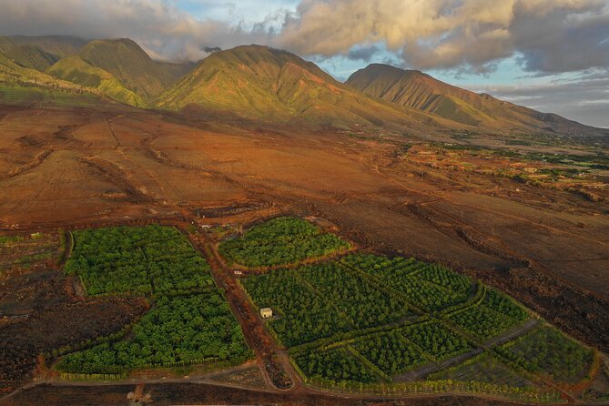 Lahaina: Maui Ku'ia Estate Guided Cacao Farm Tour and Tasting - Who should book the Ku’ia Estate cacao farm tour