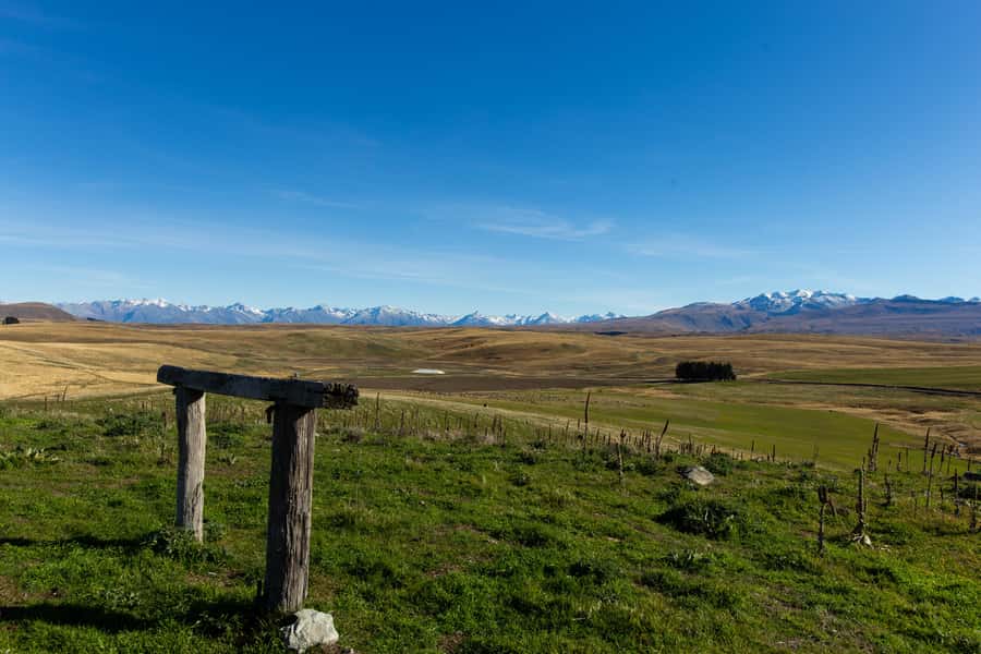Lake Tekapo High Country Farm Tour (Carbon Positive) - Who This Tour Suits Best (and Who Should Skip It)
