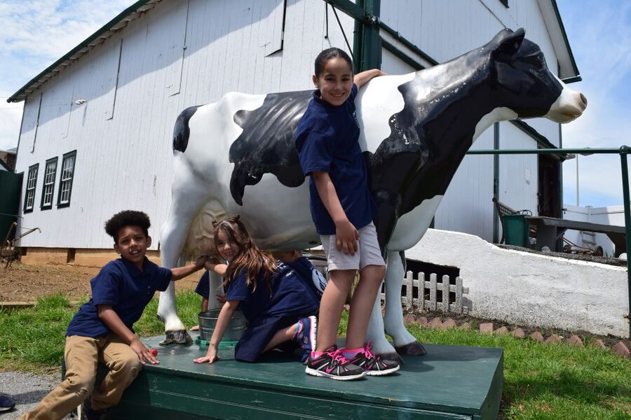 Lancaster County: Amish Farmlands, Museum Tour, Farm Visit - Key Highlights You’ll Actually Care About