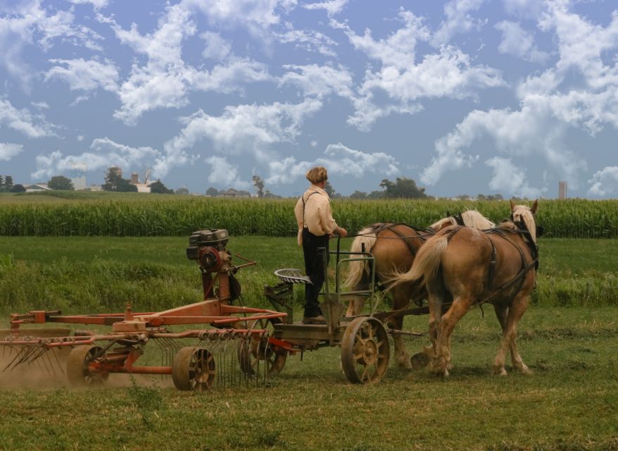 Lancaster County: Amish Farmlands, Museum Tour, Farm Visit - Should You Book This Amish Country Tour?