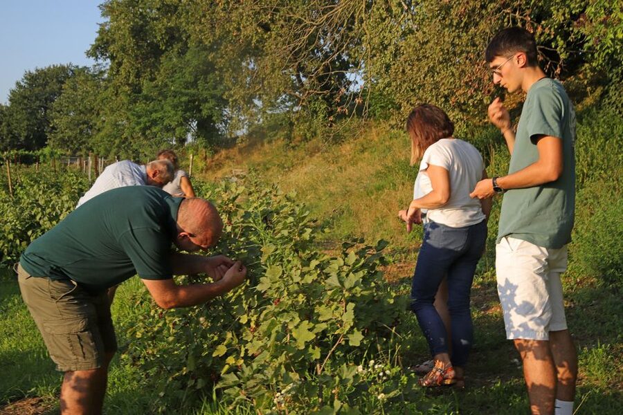 Lazise: Beekeeping Farm Tour and Tasting Experience - Price and Value: What You’re Really Paying For
