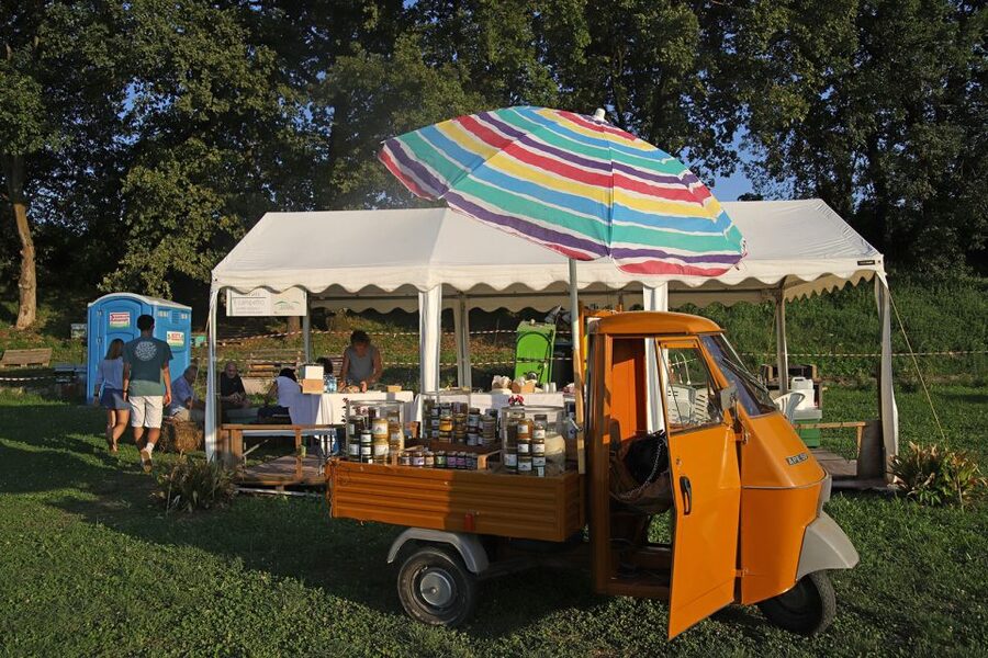 Lazise: Beekeeping Farm Tour and Tasting Experience - Why Bees at Lake Garda Feel Like a Real Experience