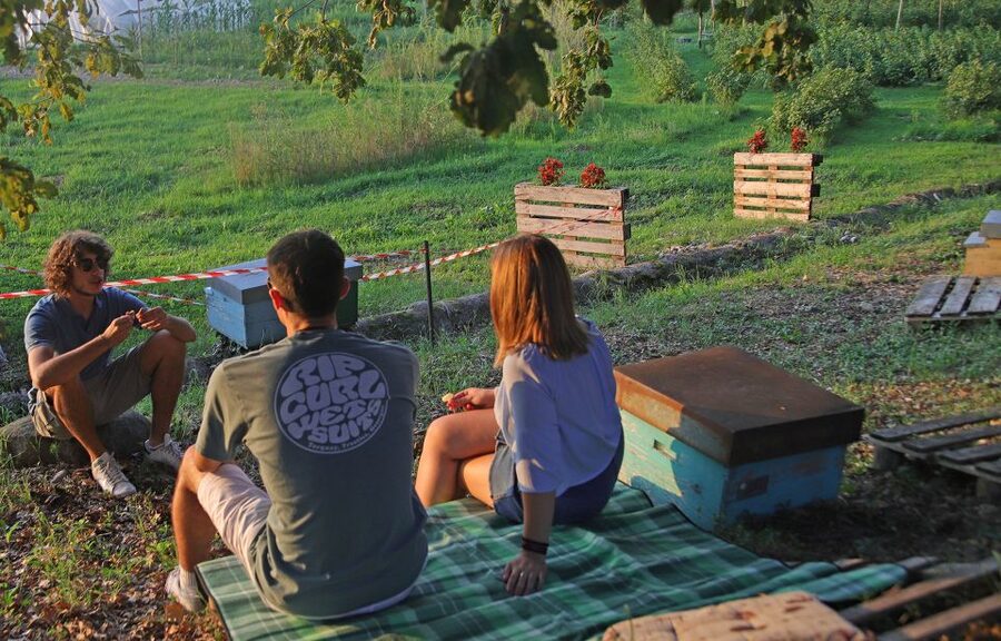 Lazise: Beekeeping Farm Tour and Tasting Experience - Wine Time: A White Wine Pour from the Region