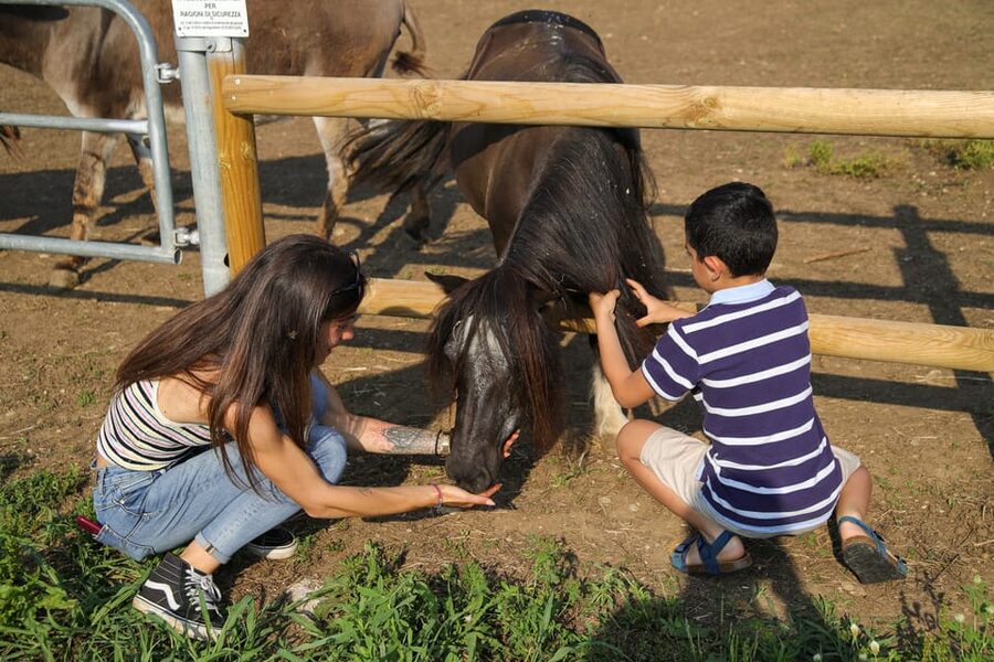 Lazise: Biodynamic Farm Tour and Natural Wine Tasting - Biodynamic farming you can actually see (animals, gardens, and vine work)