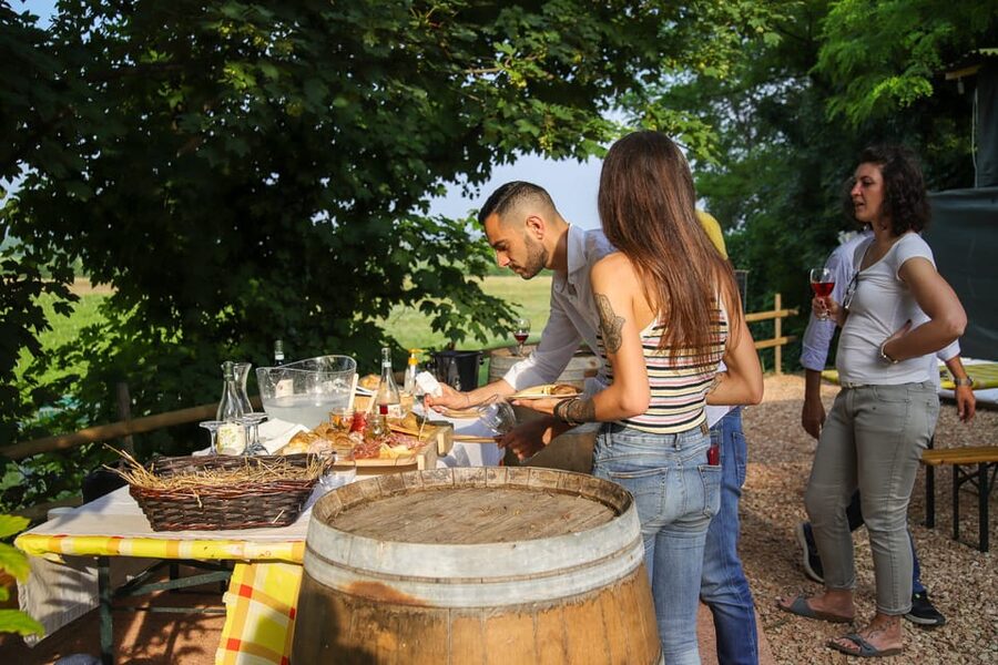 Lazise: Biodynamic Farm Tour and Natural Wine Tasting - The terrace payoff: views, pacing, and a calm end to your Lake Garda day