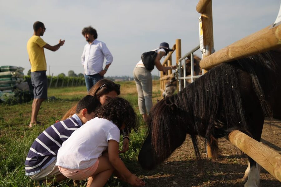 Lazise: Biodynamic Farm Tour and Natural Wine Tasting - Who this tour suits best (and who should pass)