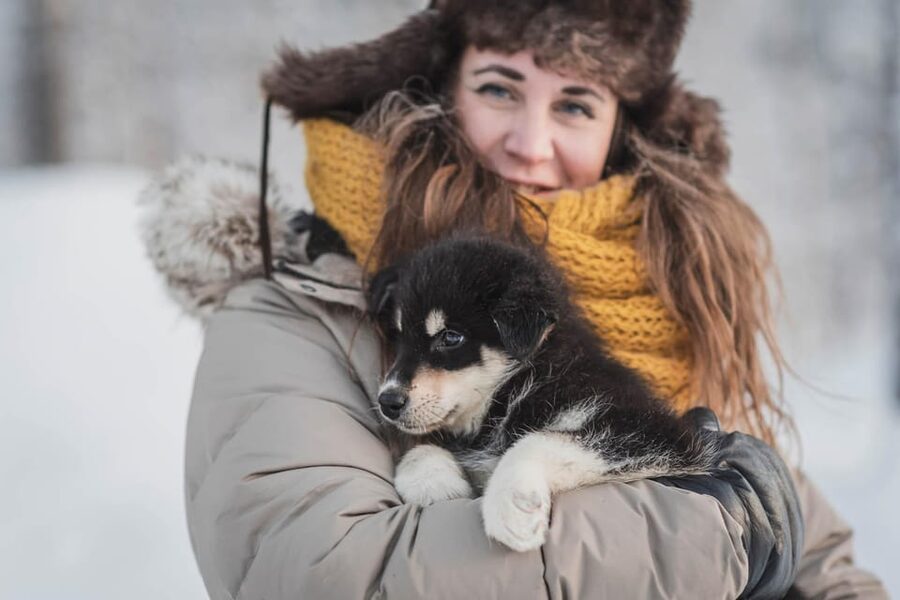 Levi: Horse and Husky Farm Visit with Juice and Cookies - Why this Levi farm visit feels different from a quick animal stop