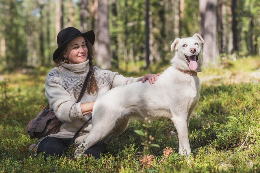 Levi: Horse and Husky Farm Visit with Juice and Cookies - The 1-hour guided portion: huskies first, then horses (with Hugo)