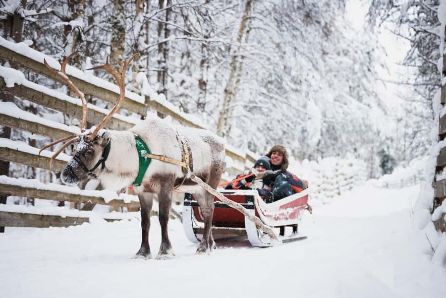 Levi: Husky and Reindeer Farm Tour with Sled Ride - Key things you’ll notice right away