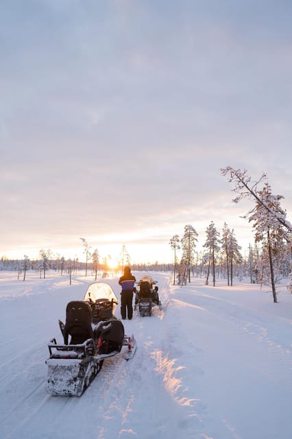 Levi: Husky and Reindeer Farm Visit with Snowmobiling - Pickup, timing, and how to avoid the common day-ruiner