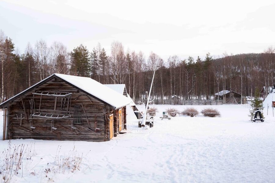 Levi: Reindeer Farm E-Fatbike Safari - Kelo Rental & Safaris: where your winter ride begins