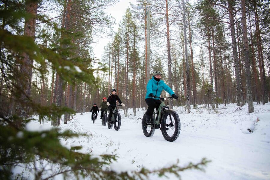 Levi: Reindeer Farm E-Fatbike Safari - The reindeer farm visit: feeding reindeer and learning the culture behind them