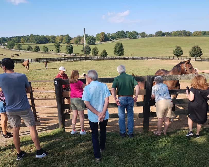 Lexington: Thoroughbred Horse Farm Tour and Scenic Bluegrass - Lexington Bluegrass in Half a Day: What It Feels Like