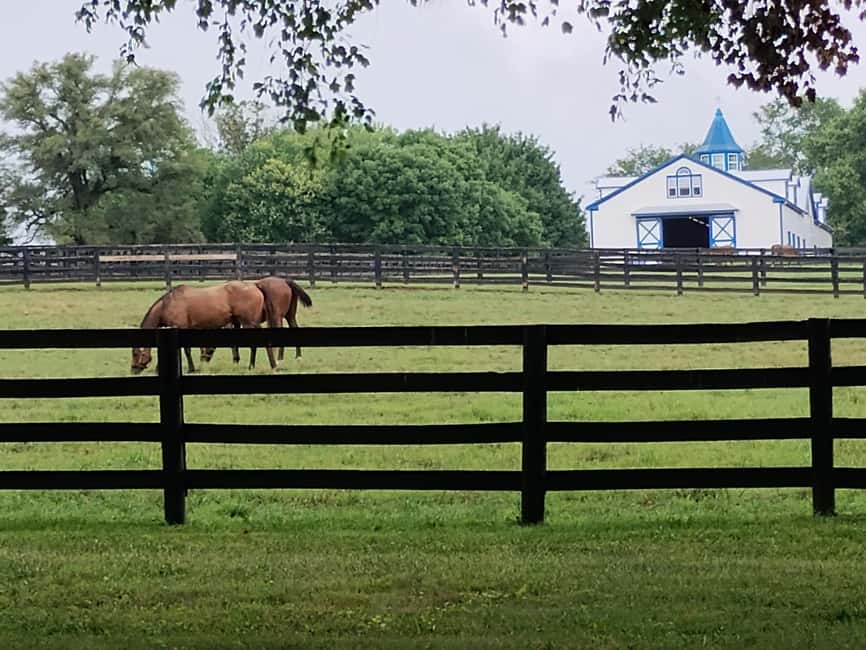 Lexington: Thoroughbred Horse Farm Tour and Scenic Bluegrass - Your 3.5-Hour Game Plan: How the Day Moves
