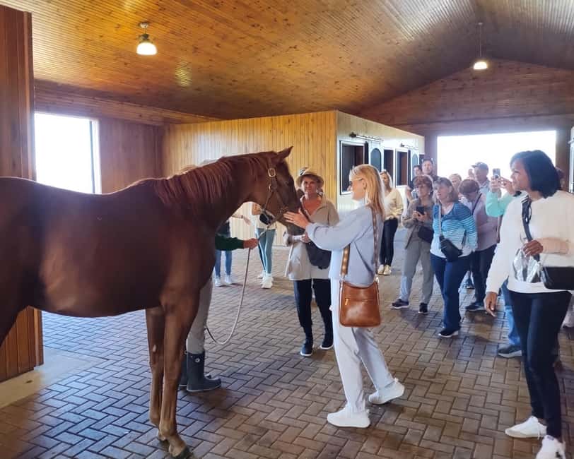 Lexington: Thoroughbred Horse Farm Tour and Scenic Bluegrass - Thoroughbred Farm Stops: Training, Breeding, and Real Horse Life