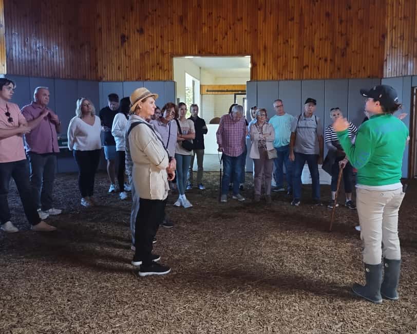 Lexington: Thoroughbred Horse Farm Tour and Scenic Bluegrass - The Guides Make It: Stories You Can Use
