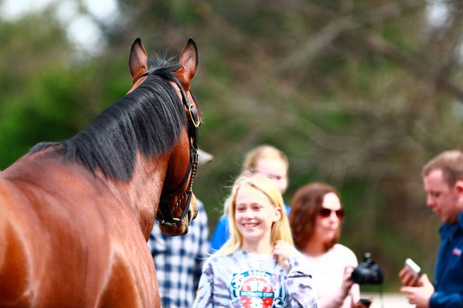 Lexington: Thoroughbred Horse Farm Tour and Scenic Bluegrass - Who Should Book This (and Who Might Skip It)