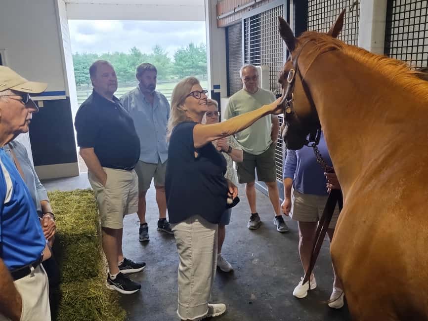 Lexington: Thoroughbred Horse Farm Tour and Scenic Bluegrass - Quick Tips to Get the Best Day