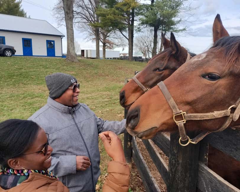 Lexington: Thoroughbred Horse Farm Tour and Scenic Bluegrass - Should You Book This Lexington Thoroughbred Tour?
