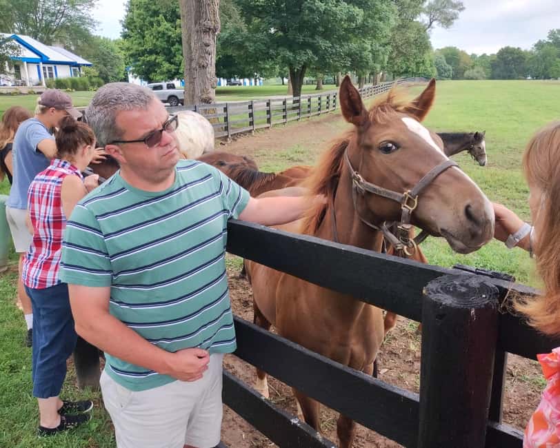 Lexington: Thoroughbred Horse Farm Tour and Scenic Bluegrass - Keeneland When You Can Get It: Track Views and Movie Locations