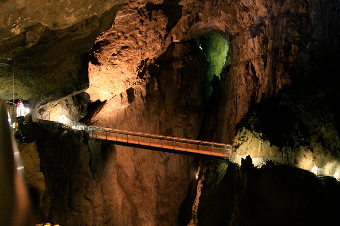 Lipica Stud Farm and Skocjan Caves from Koper - Lipica Stud Farm: seeing the Lipizzan horse story up close