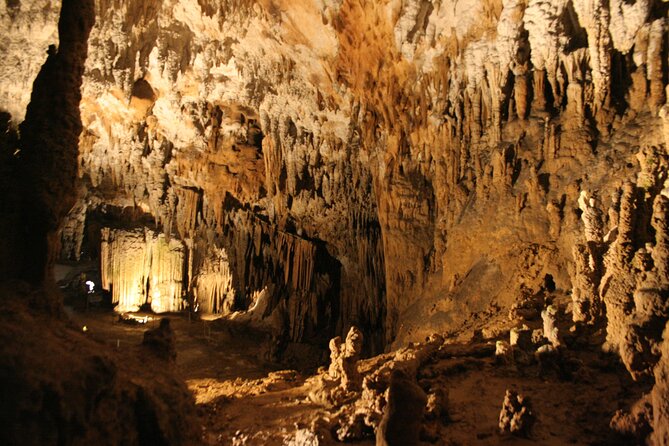Lipica Stud Farm and Skocjan Caves from Koper - Škocjan Caves: UNESCO canyon views with a workout inside