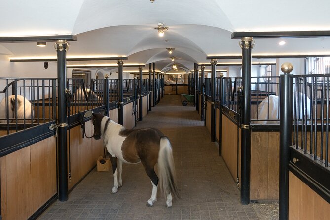 Lipica Stud Farm and Skocjan Caves from Koper - Škocjan Caves Regional Park: an open-air museum after the underground