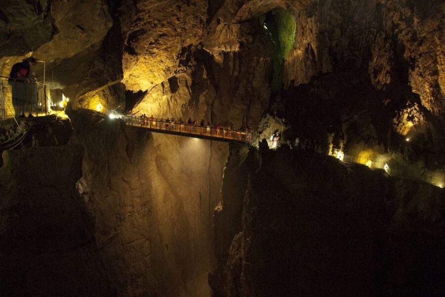 Lipica Stud Farm and Škocjan Caves from Trieste - Lipica Stables and Lipikum Museum: What You Actually Learn