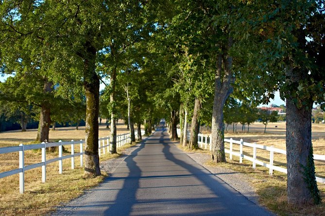 Lipica Stud Farm- Private Experience from Koper - Food options: what you can add without breaking the schedule