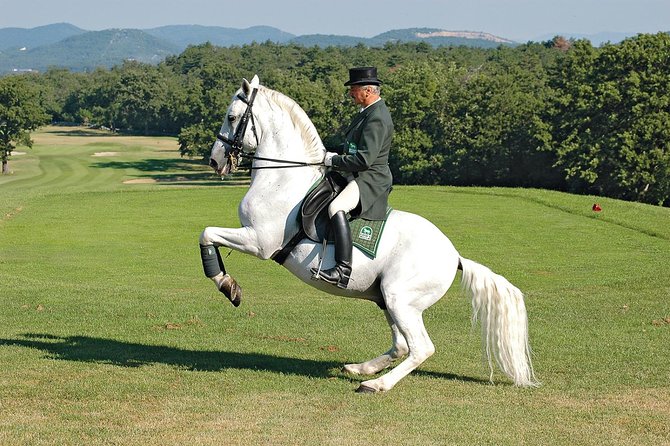 Lipica Stud Farm- Private Experience from Koper - Best fit: who will love Lipica from Koper
