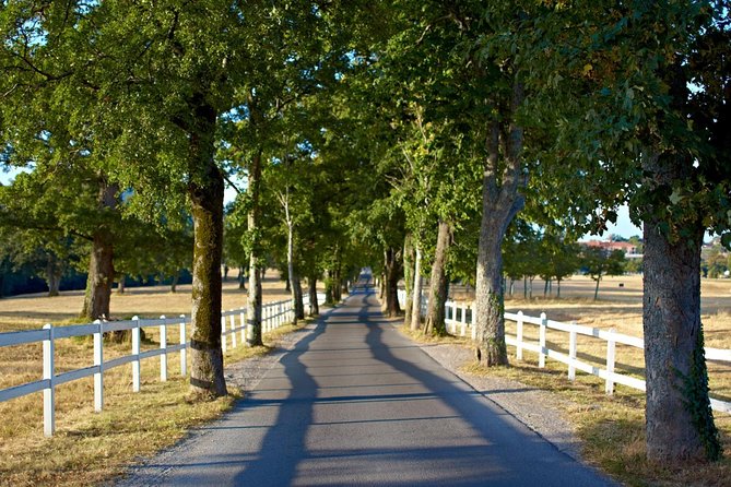 Lipica Stud Farm & Skocjan Caves - Small Group Tour from Trieste - Should you book Lipica Stud Farm & Škocjan Caves from Trieste?