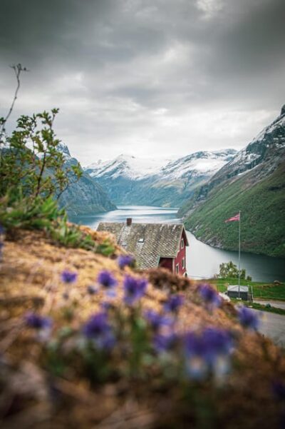 Ljøen, Hellesylt: Ljøen Farm Tour - Finding the Meeting Point: YX in Hellesylt Works Better Than You’d Think