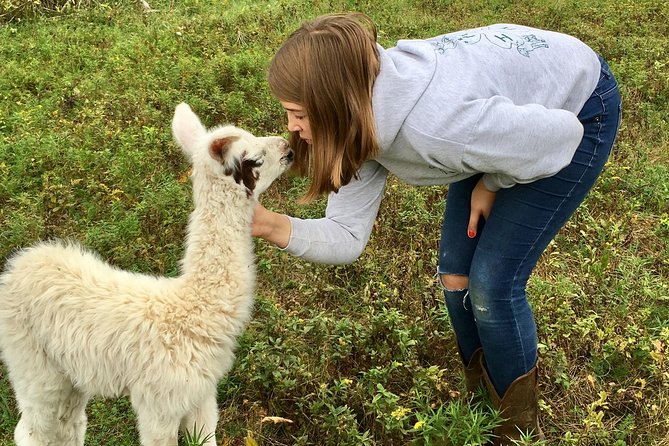 Llama/Alpaca Hike and Farm Tour - Key highlights you’ll feel immediately