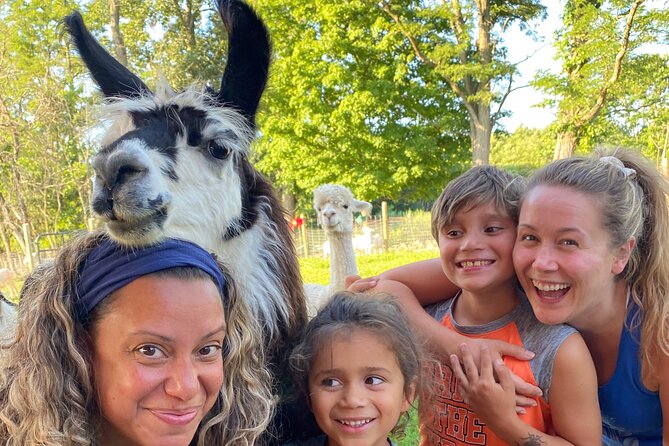 Llama/Alpaca Hike and Farm Tour - Clover Brooke Farm’s llama-and-alpaca hike: the point of it all
