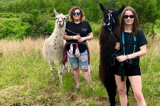 Llama/Alpaca Hike and Farm Tour - The 1.5-hour farm hike route: pastures, paddocks, and pond time
