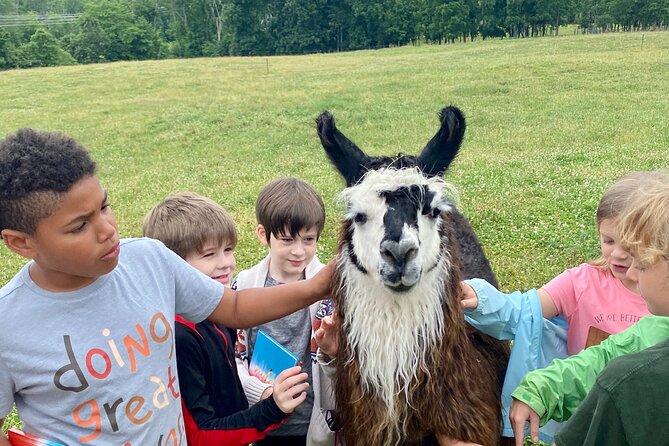 Llama/Alpaca Hike and Farm Tour - Practical details that make or break your comfort