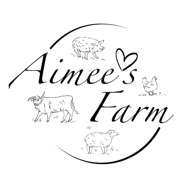 Lofoten (Stamsund and Leknes): Aimees Farm Experience - Meeting Scottish Highland cattle and the farm’s animal stories