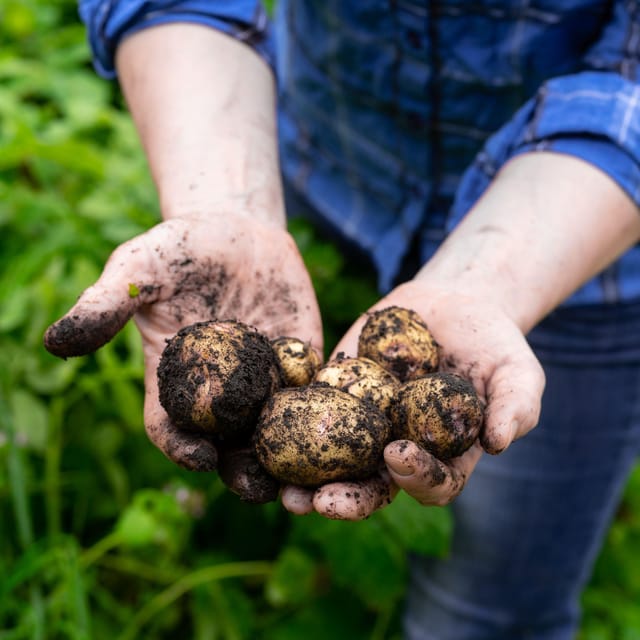 Lofoten (Stamsund and Leknes): Aimees Farm Experience - Practical tips so your evening goes smoothly