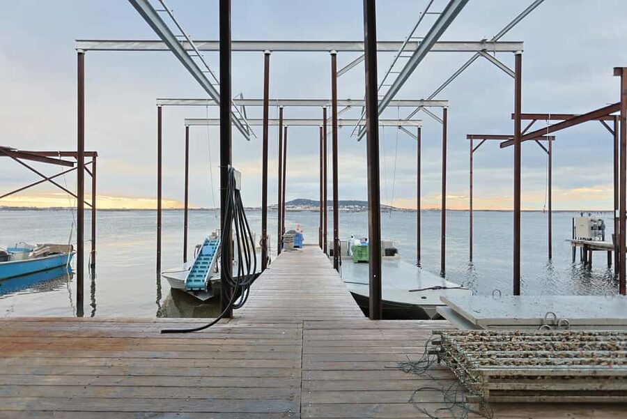 Loupian: Tour guide of our oyster farm and tasting - Key things to know before you go