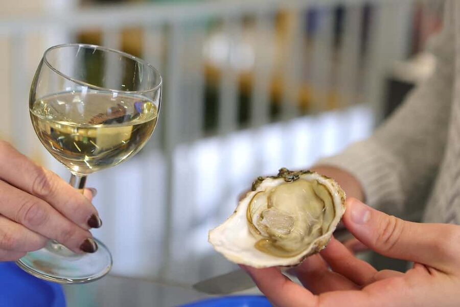 Loupian: Tour guide of our oyster farm and tasting - Oyster farming in Loupian, explained step by step