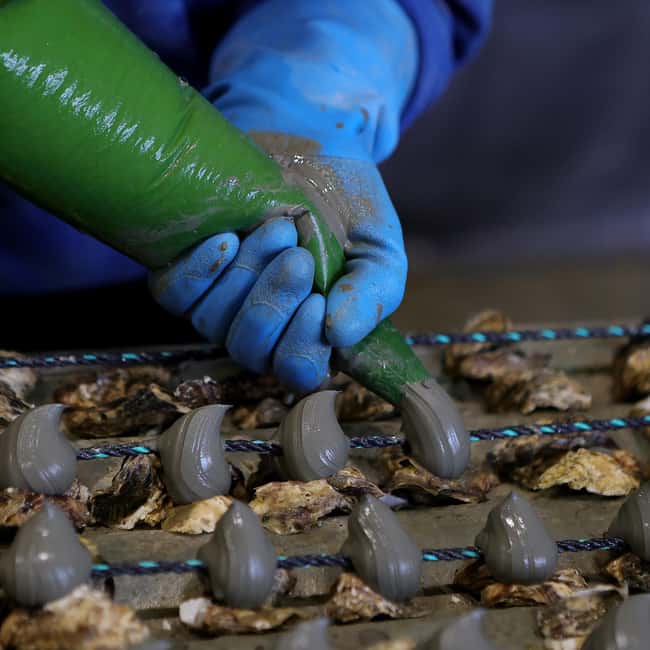 Loupian: Tour guide of our oyster farm and tasting - The Thau basin story: why the guide’s family perspective matters