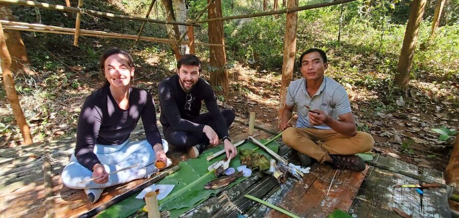 Luang Prabang: Bamboo Forest Cooking-class & Farm Visit - Foraging Plants: Edible, Medicinal, and Everyday-Use Knowledge