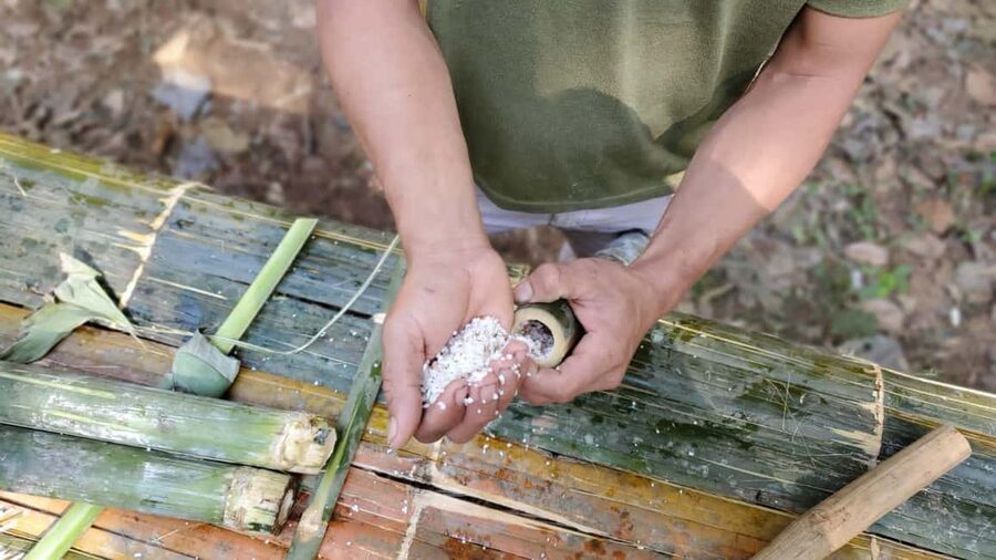 Luang Prabang: Bamboo Forest Cooking-class & Farm Visit - Timing, Group Size, and the Comfort Tips That Matter