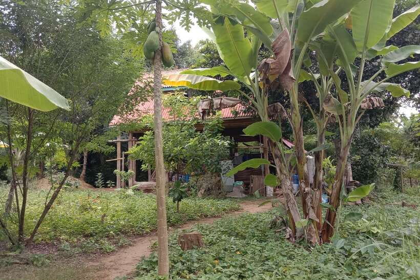 Luang Prabang: Organic Farm Experience & Hike to Kuang si - Key highlights worth your time